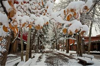 210 Cooper Hotel Aspen Luaran gambar